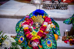 Daily Darshan