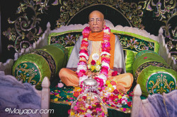 Daily Darshan