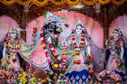 Daily Darshan