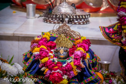 Daily Darshan