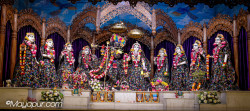 Daily Darshan