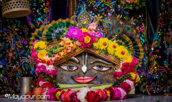 Daily Darshan