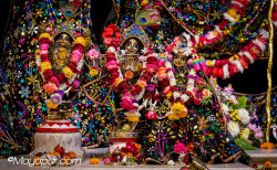 Daily Darshan