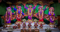 Daily Darshan