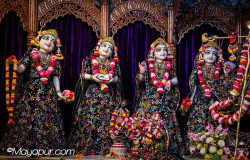 Daily Darshan