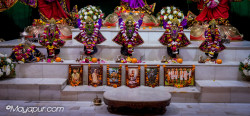 Daily Darshan
