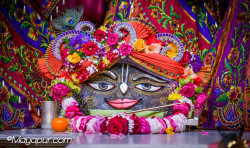 Daily Darshan