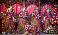 Daily Darshan