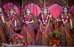 Daily Darshan