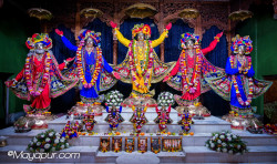 Daily Darshan