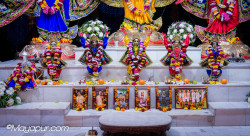 Daily Darshan