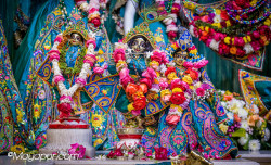 Daily Darshan