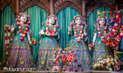 Daily Darshan