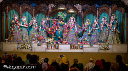 Daily Darshan