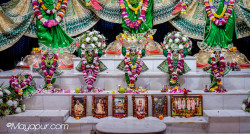 Daily Darshan