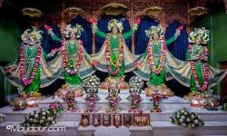 Daily Darshan