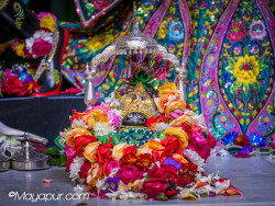 Daily Darshan