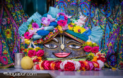 Daily Darshan