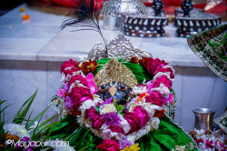 Daily Darshan