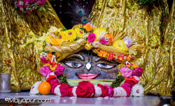 Daily Darshan