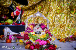 Daily Darshan