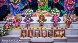 Daily Darshan