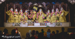 Daily Darshan