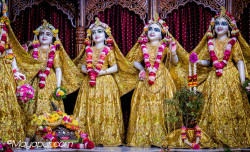 Daily Darshan