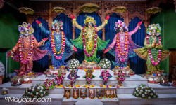 Daily Darshan