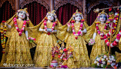 Daily Darshan