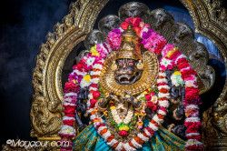 Daily Darshan