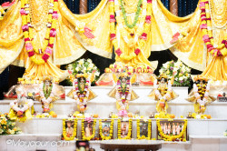 Daily Darshan