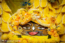 Daily Darshan