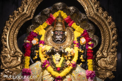 Daily Darshan