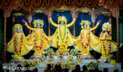 Daily Darshan