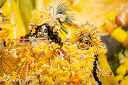Daily Darshan