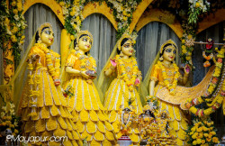 Daily Darshan