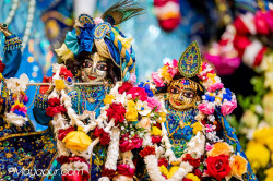 Daily Darshan