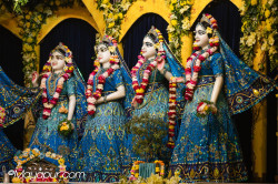 Daily Darshan