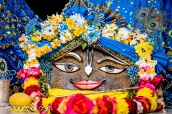 Daily Darshan