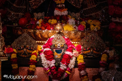 Daily Darshan