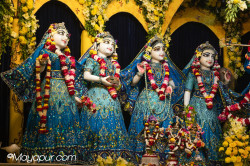 Daily Darshan