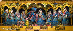 Daily Darshan