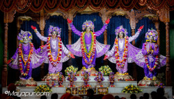 Daily Darshan