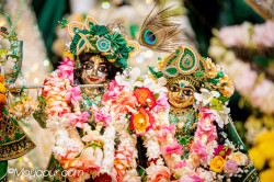 Daily Darshan
