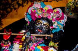 Daily Darshan