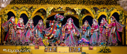 Daily Darshan