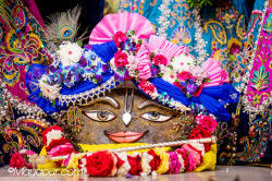 Daily Darshan
