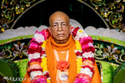 Daily Darshan