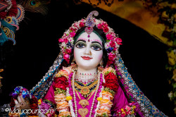 Daily Darshan